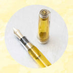 NAGASAWA Exclusive, Amami, 14K Gold, Weather Vane Engraved, Sailor Fountain Pen