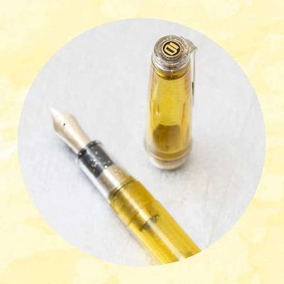 NAGASAWA Exclusive, Amami, 14K Gold, Weather Vane Engraved, Sailor Fountain Pen