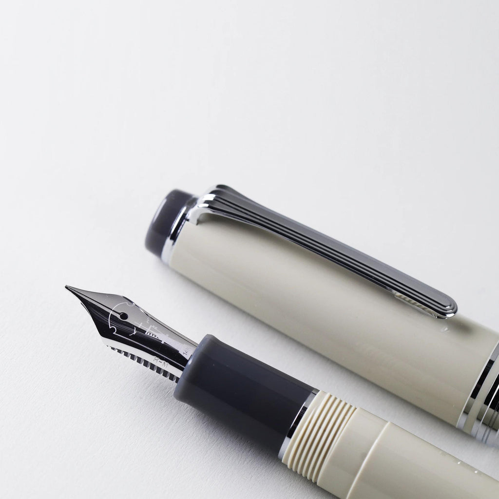 Nagasawa Renga Soko Store 9th Anniversary Commemorative Edition, 14K Gold Short-version Sailor Fountain Pen