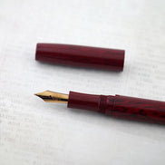 Eboya Emuya 萌芽 HOUGA / 方舟 HAKOBUNE M Model - Exclusive Russet Pattern Shade: Hard Rubber Fountain Pen with 14K Gold Nib