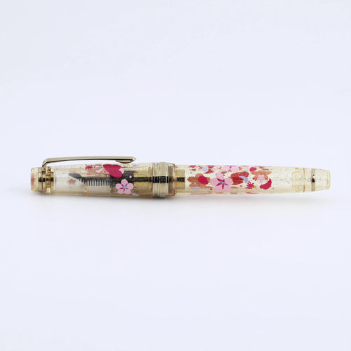 Ancora x Sailor Sakura 14K Gold Fountain Pen Set