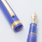 Nagasawa Exclusive Rokko Hydrangea, 14K Gold Platinum Fountain Pen with Weather Vane Engraving