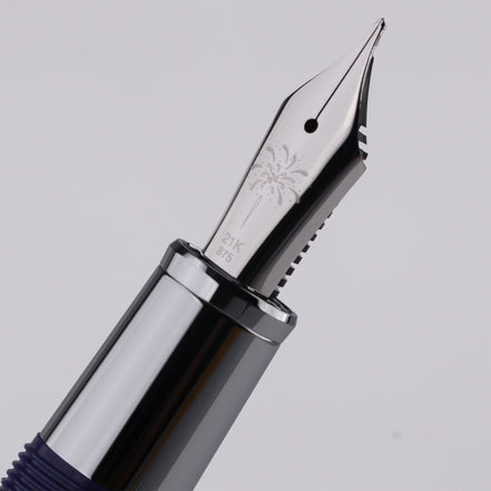 Maruzen Exclusive Natsu Hanabi 21K Gold Low Center of Gravity Fountain Pen