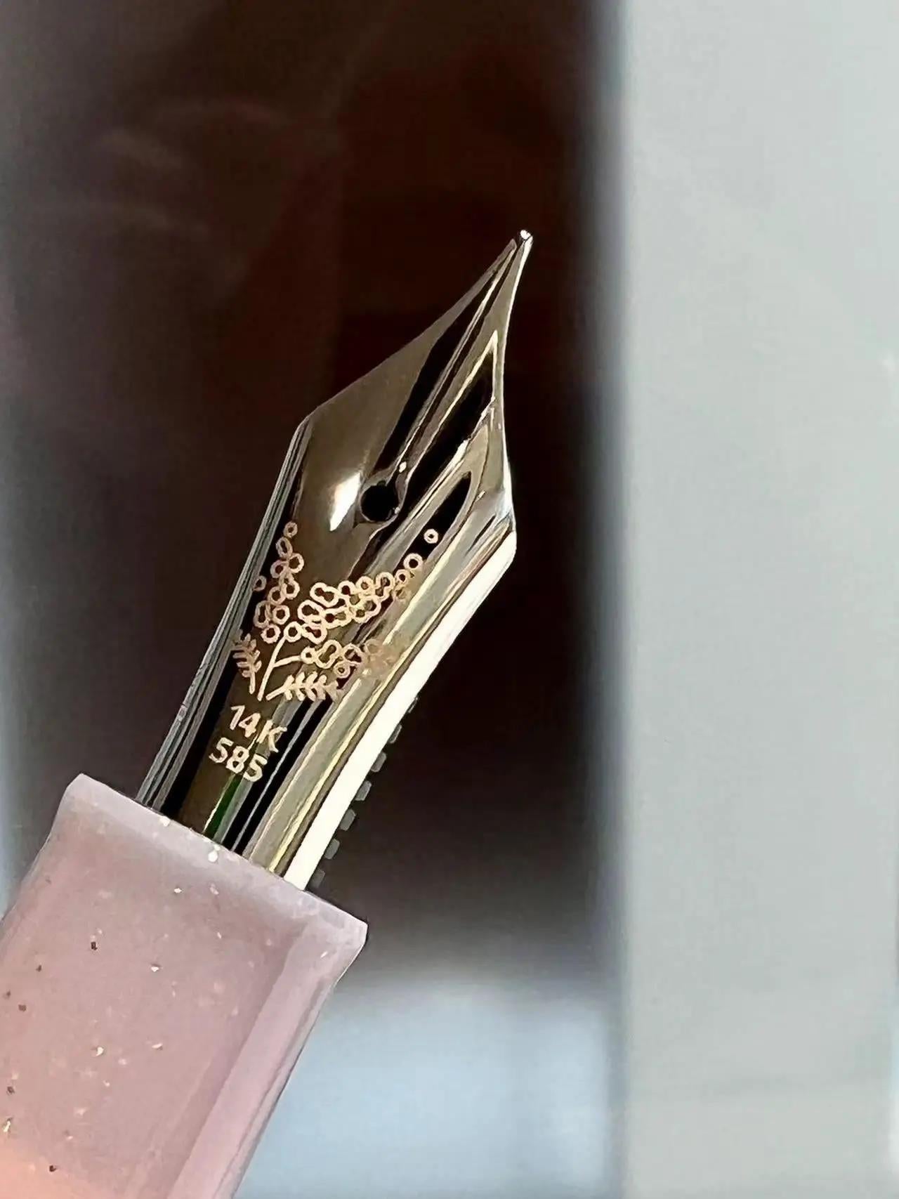 Limited Edition Ancora Mimosa 14K Gold Sailor Medium Fountain Pen & Colored Ink Gift Set