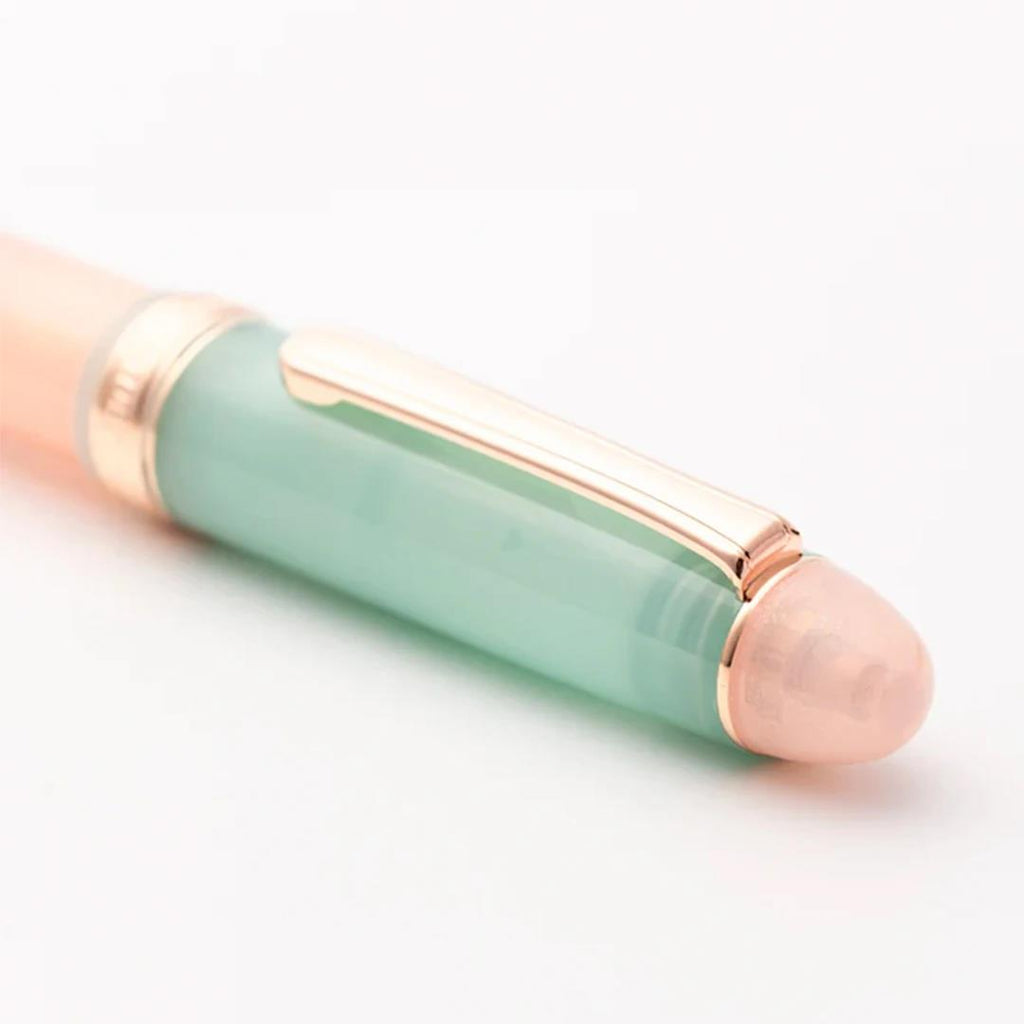 Hachimonjiya Limited Edition Akizakura 14K Gold Platinum Fountain Pen