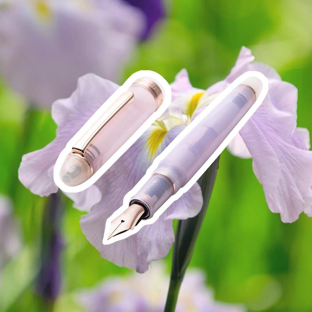 Hachimonjiya Limited Edition Ayame 14K Gold Platinum Large Rose Gold Fountain Pen