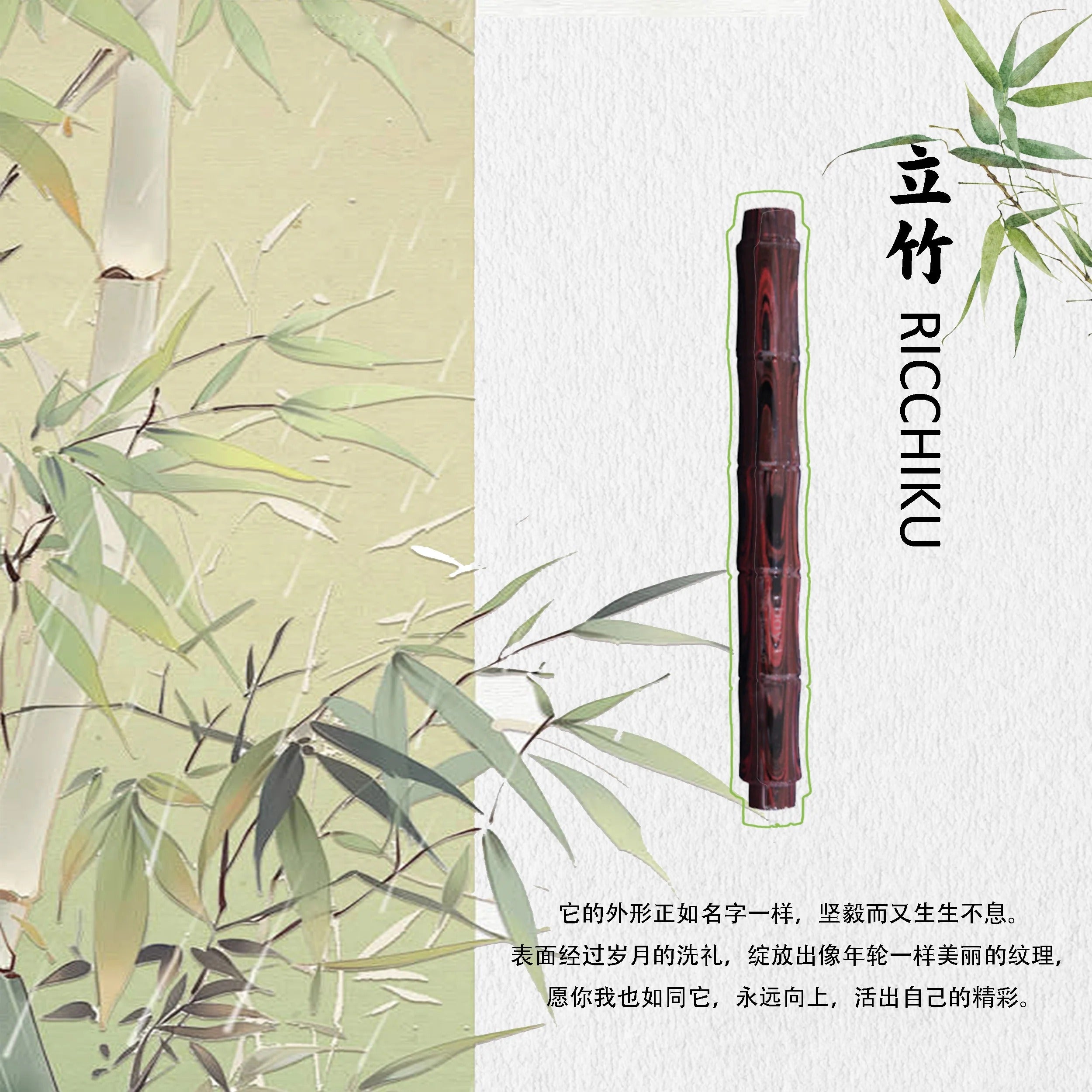 Eboya 立竹 RICCHIKU Fountain Pen Available in Multiple Colors & Nib Styles, Hard Rubber Body, 14K Gold Nib