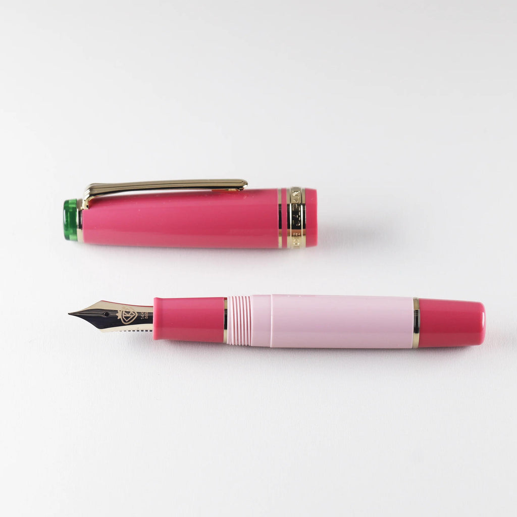 Hachimonjiya Limited Edition Ginzan/Kubozakura 14K/18K Gold Sailor Fountain Pen