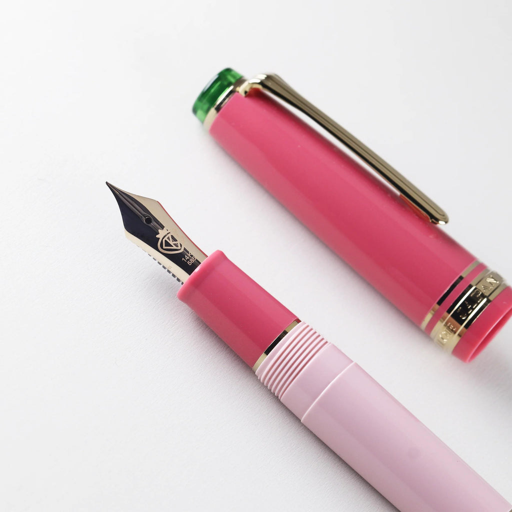 Hachimonjiya Limited Edition Ginzan/Kubozakura 14K/18K Gold Sailor Fountain Pen