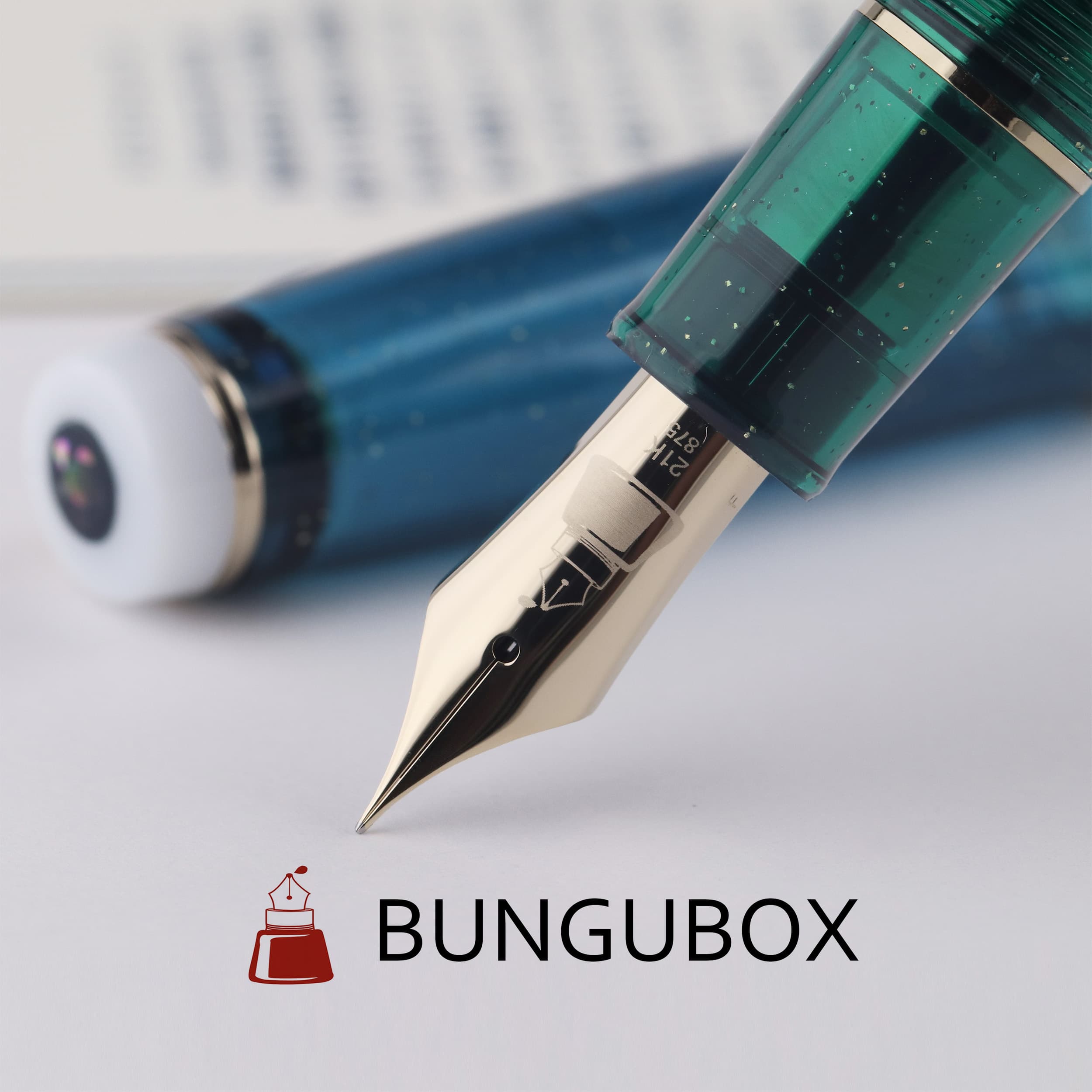 BUNGUBOX Limited Edition Sanctuary Blue 21K Gold Sailor Large Model Fountain Pen