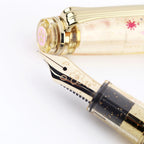 Ancora x Sailor Sakura 14K Gold Fountain Pen Set