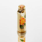 Ancora Sailor Osmanthus 14K Gold Fountain Pen Set