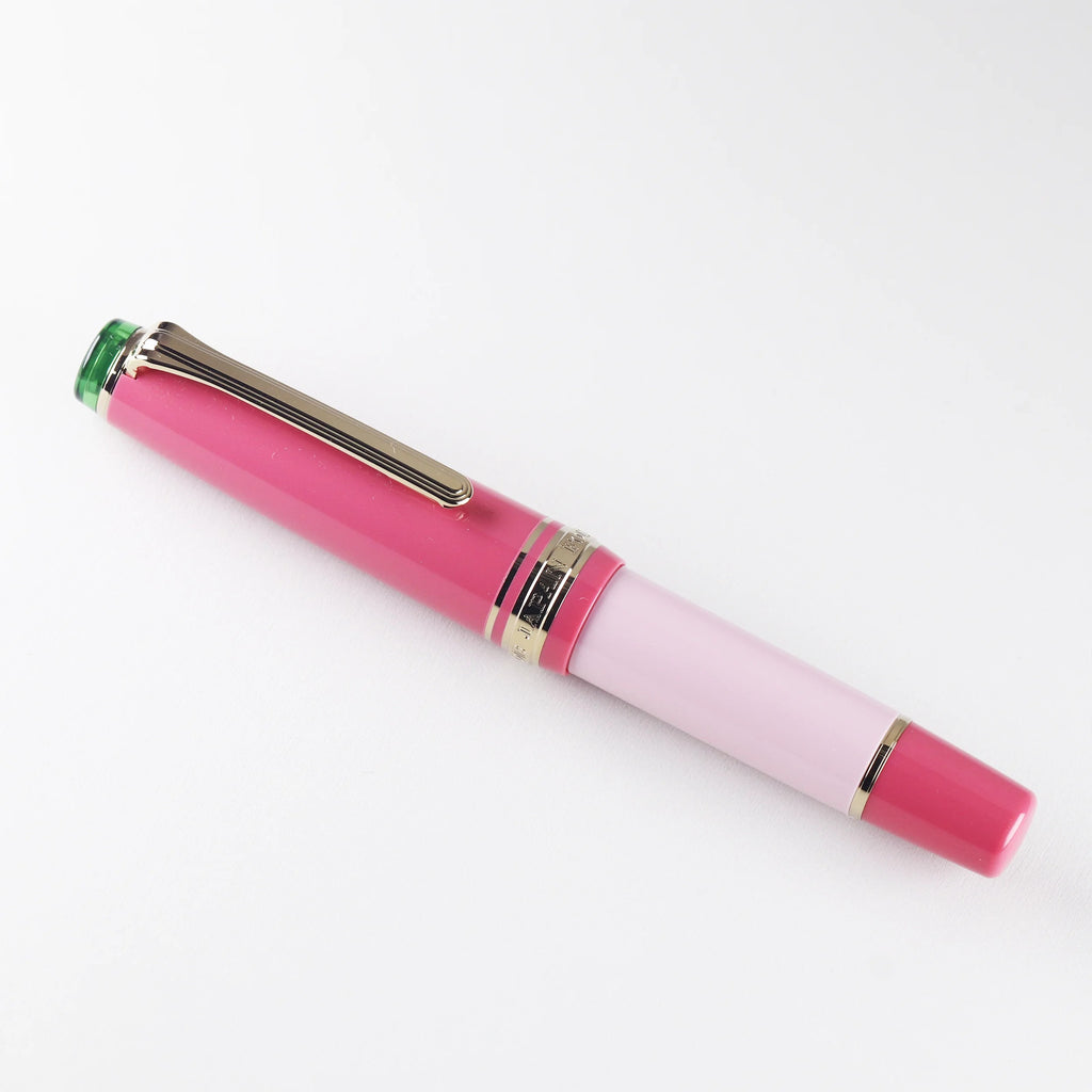 Hachimonjiya Limited Edition Ginzan/Kubozakura 14K/18K Gold Sailor Fountain Pen