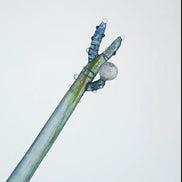 Japanese Handmade Glass Pen | Exhibition Limited Edition | Okinawa Ocean Series