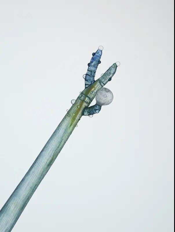 Japanese Handmade Glass Pen | Exhibition Limited Edition | Okinawa Ocean Series