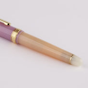 Kinokuniya Bookstore Exclusive - Thai Tea 14K Gold Platinum Fountain Pen